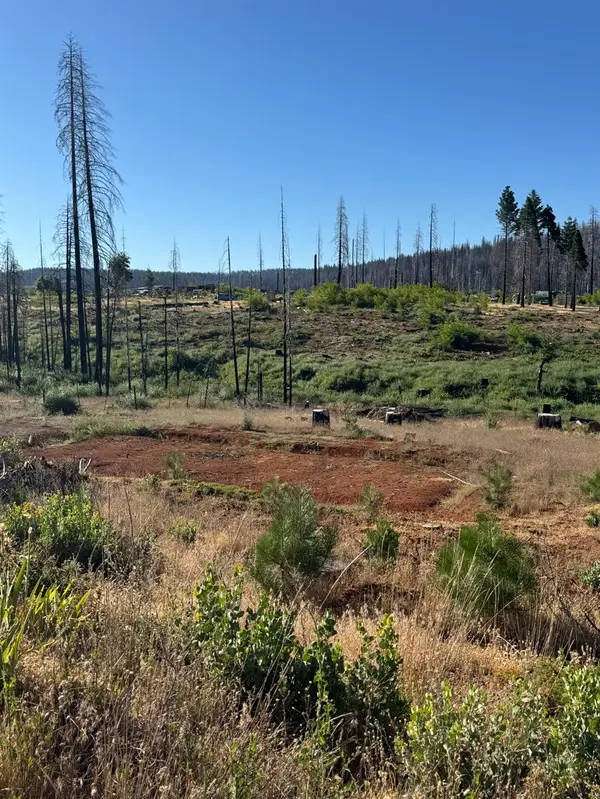 4491 String Canyon Road, Grizzly Flats, CA 95636