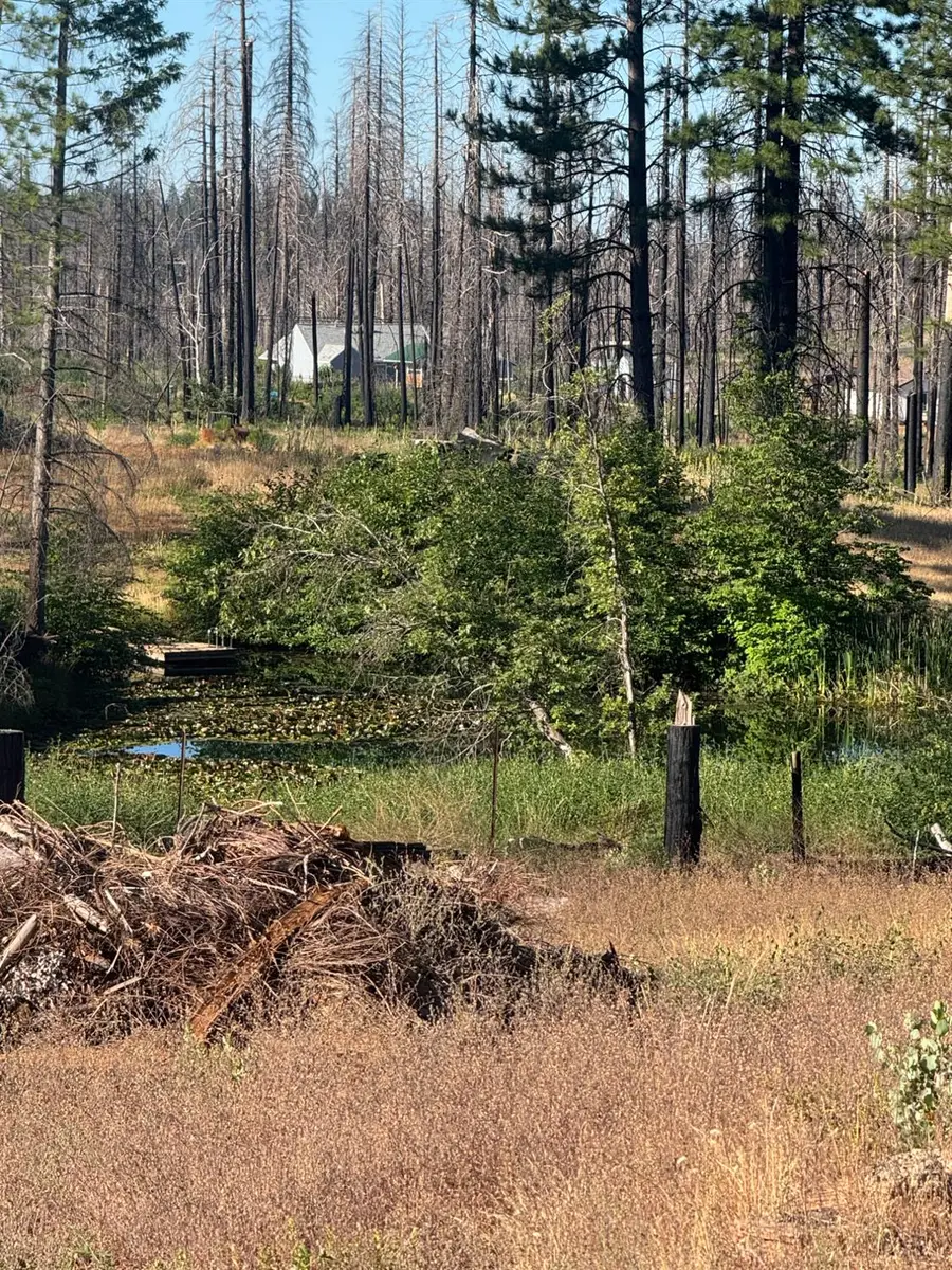 4491 String Canyon Road, Grizzly Flats, CA 95636 - Image #3