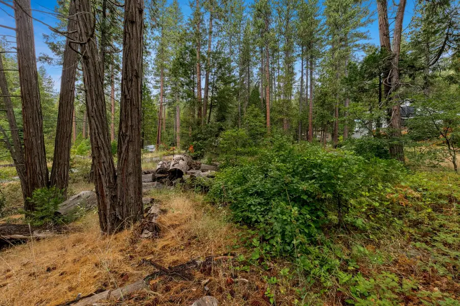 0 Pickwick Street, Kyburz, CA 95720 - Image #3