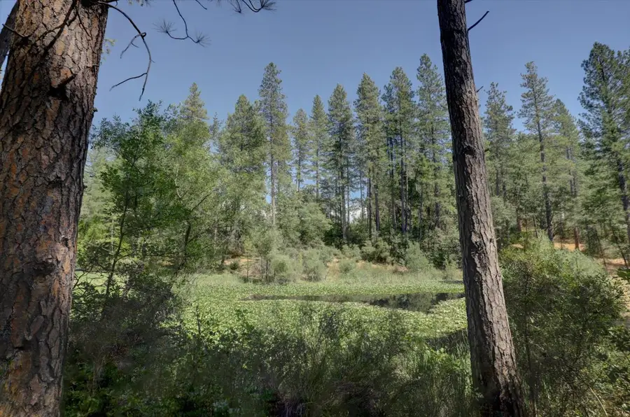 14205 Windwhistle Way, Grass Valley, CA 95949 - Image #3