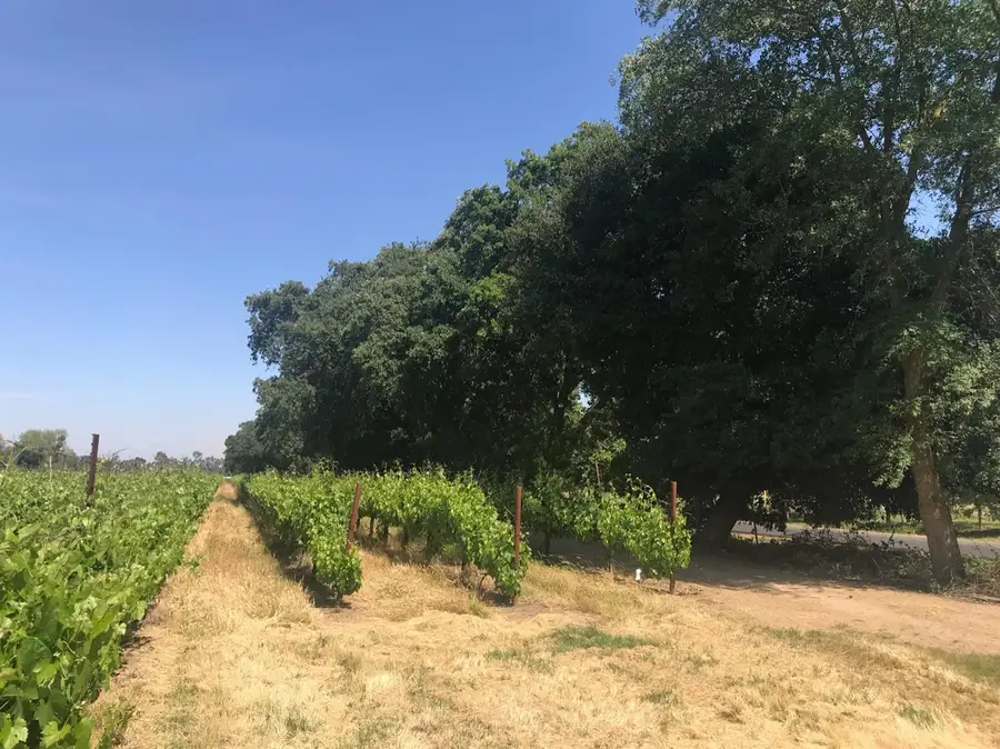 0 Kost Road, Galt, CA 95632 - Image #2