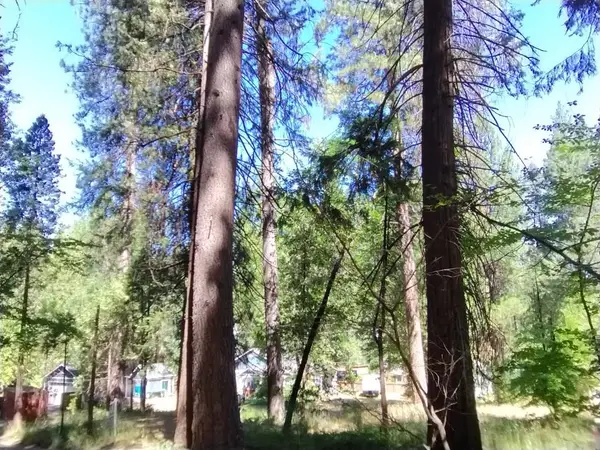 506 Silva Avenue, Nevada City, CA 95959