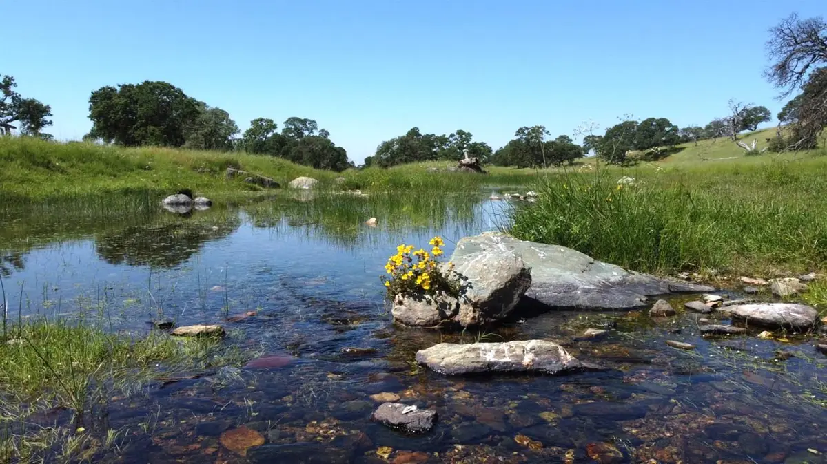 2 Zorro Road, La Grange, CA 95329 - Image #1