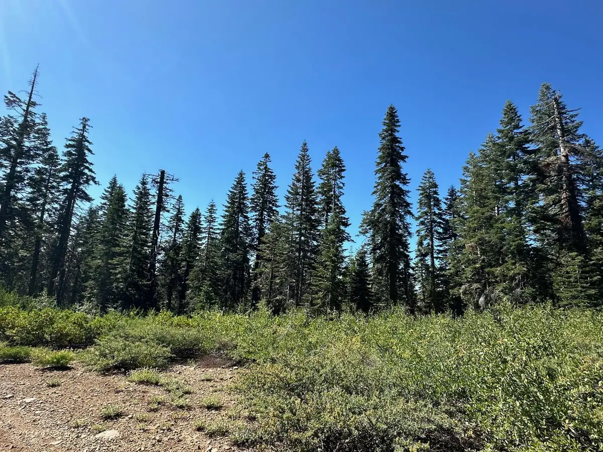 19231 Marsh Mill Road, Nevada City, CA 95959 - #1