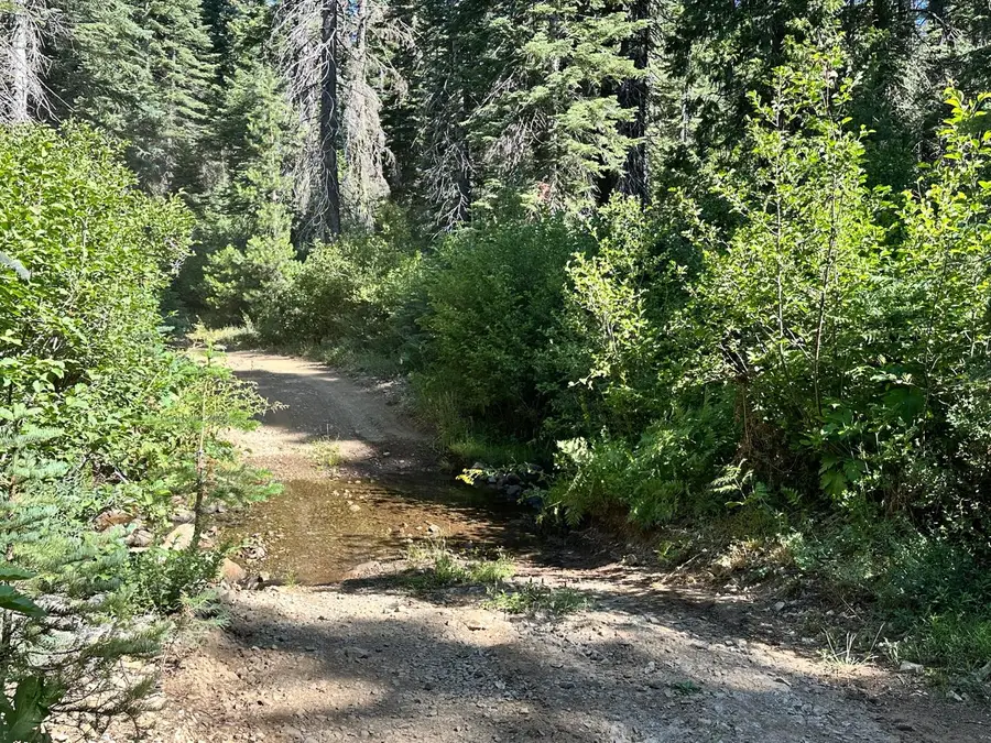 19231 Marsh Mill Road, Nevada City, CA 95959 - #3