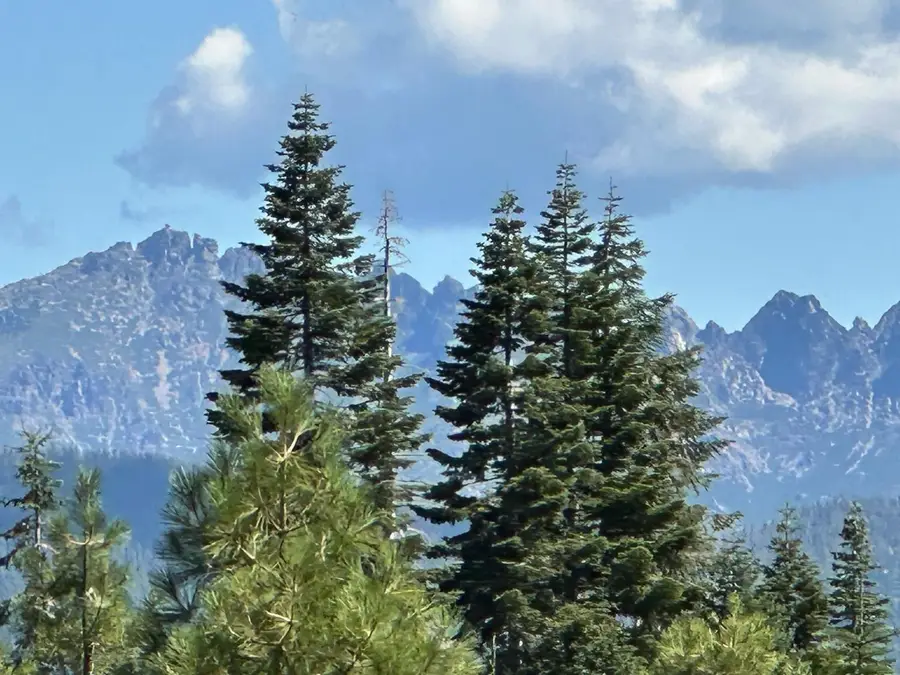 19611 Marsh Mill Road, Nevada City, CA 95959 - #3