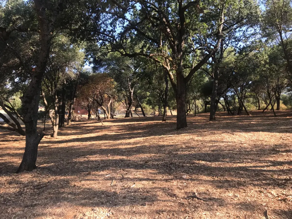 4706 Hillwood Dr, Shingle Springs, CA 95682 - Image #1