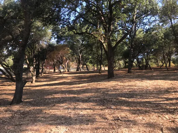 4706 Hillwood Dr, Shingle Springs, CA 95682