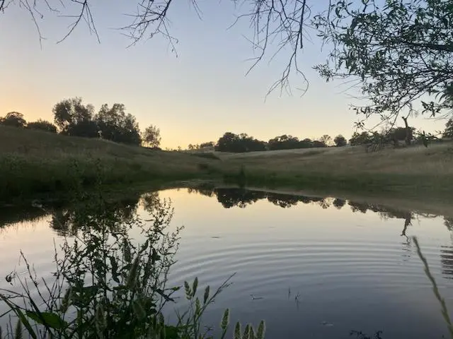 7425 Orange Avenue, Lincoln, CA 95648 - Image #2