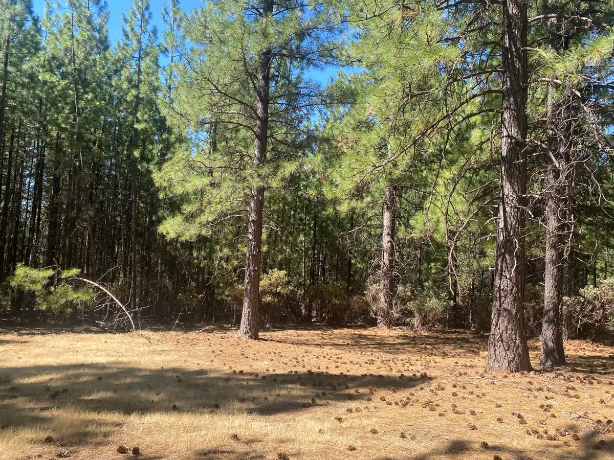 0 Wildrose Drive, Grizzly Flats, CA 95636 - Image #1