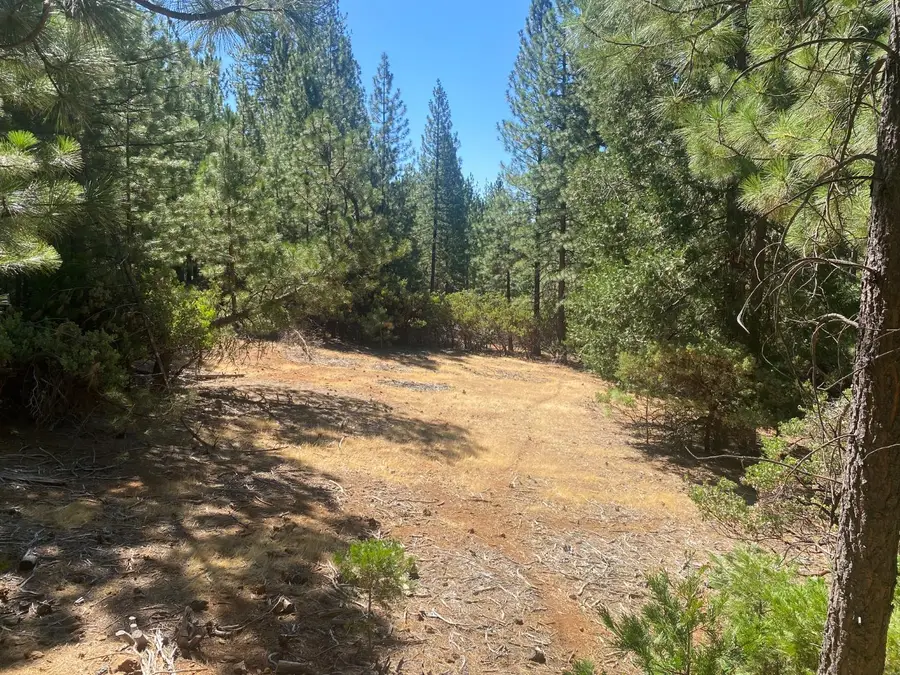 0 Wildrose Drive, Grizzly Flats, CA 95636 - Image #2