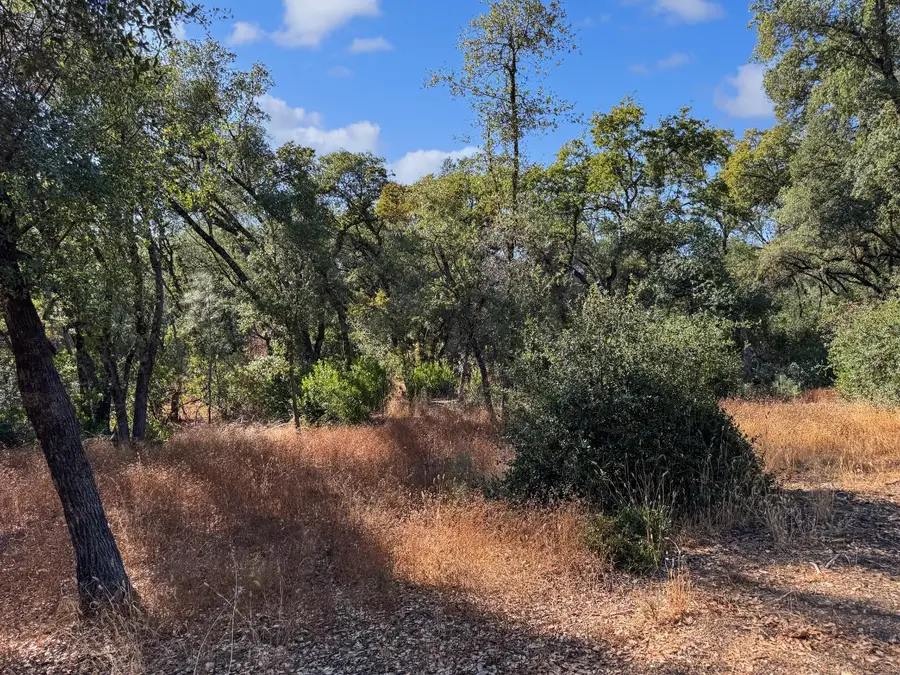 1001 Old Airport Road, Auburn, CA 95603 - Image #3