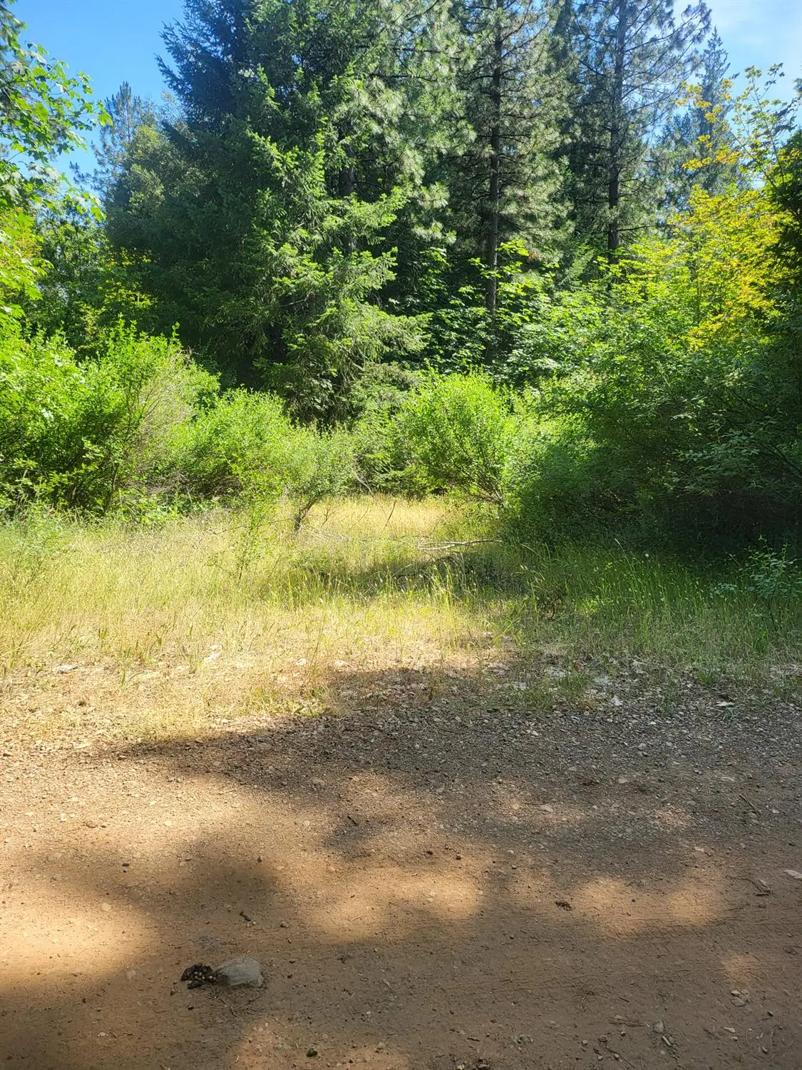 15555 Buckeye Ridge Road, Nevada City, CA 95959 - Image #1