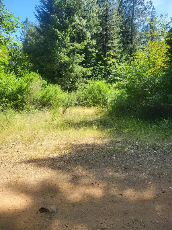 15555 Buckeye Ridge Road, Nevada City, CA 95959