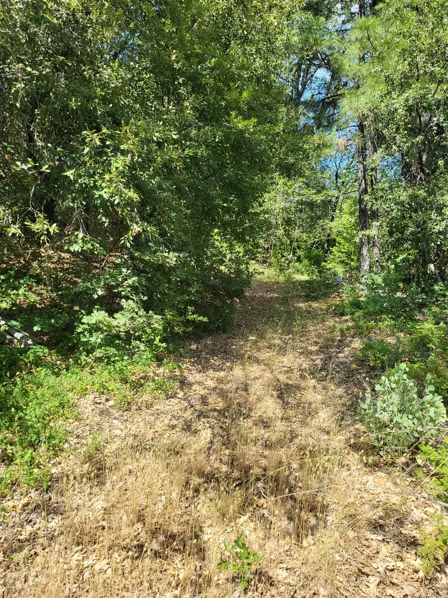 15555 Buckeye Ridge Road, Nevada City, CA 95959 - Image #3