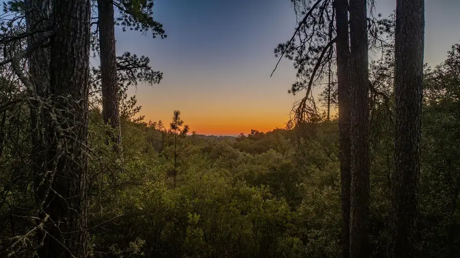 0 Manzanita Road, Sutter Creek, CA 95685 - Image #2