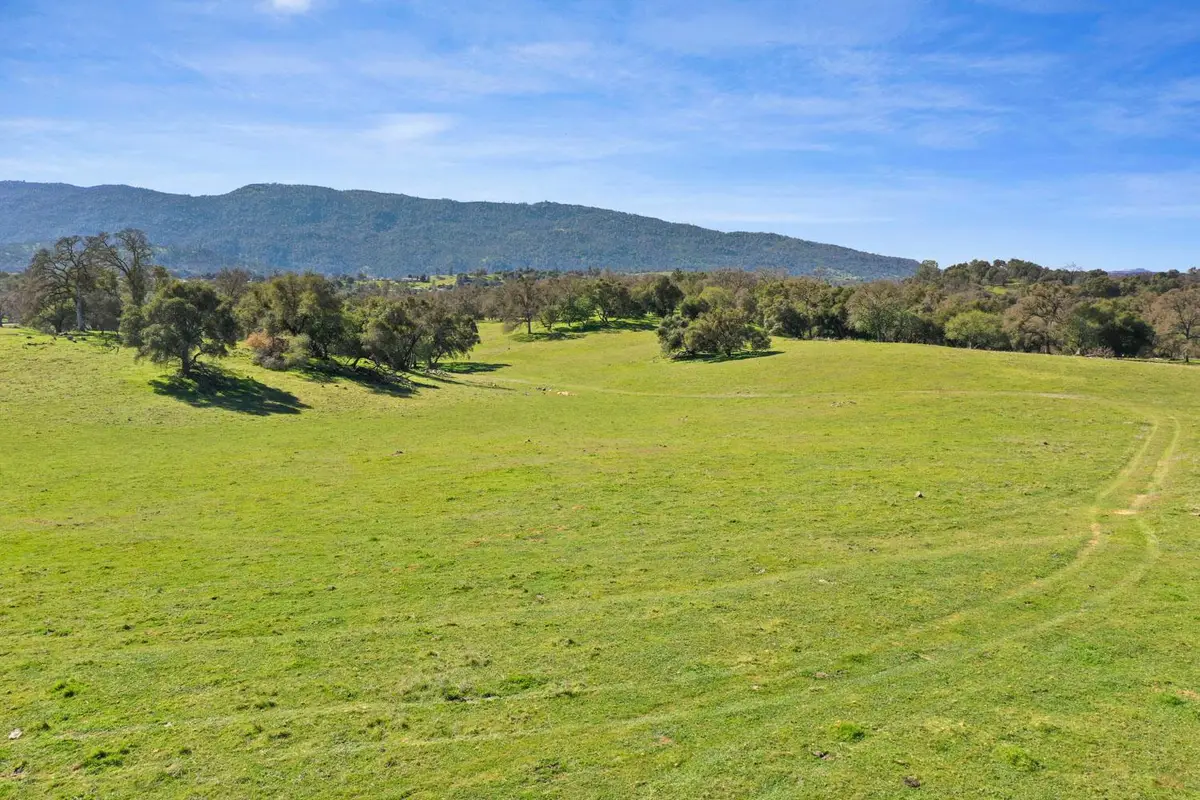 1229 W Murray Creek Road, San Andreas, CA 95249 - Image #1