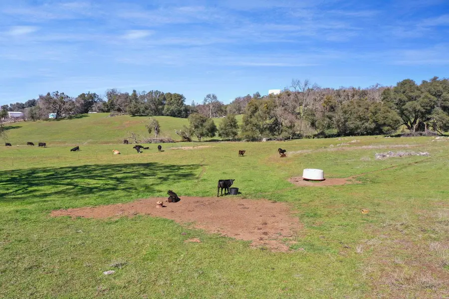 1229 W Murray Creek Road, San Andreas, CA 95249 - Image #3