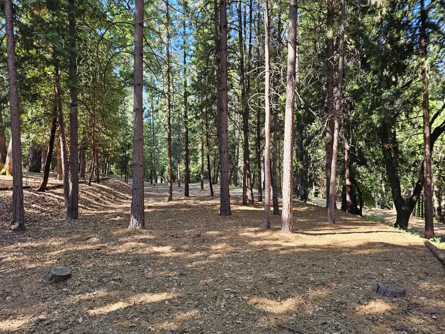 10680 Success Cross Road, Nevada City, CA 95959 - Image #2
