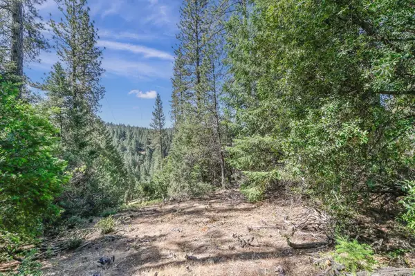 21670 Clute Canyon Road, Volcano, CA 95689