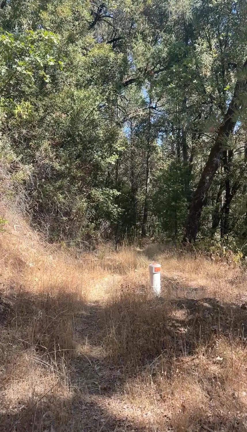 15037 Leiter Way, Grass Valley, CA 95949 - Image #3