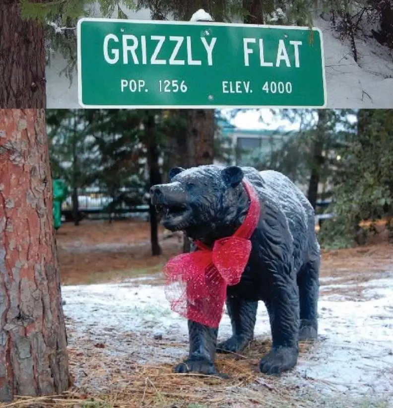 4708 Creekside, Grizzly Flats, CA 95636 - Image #2