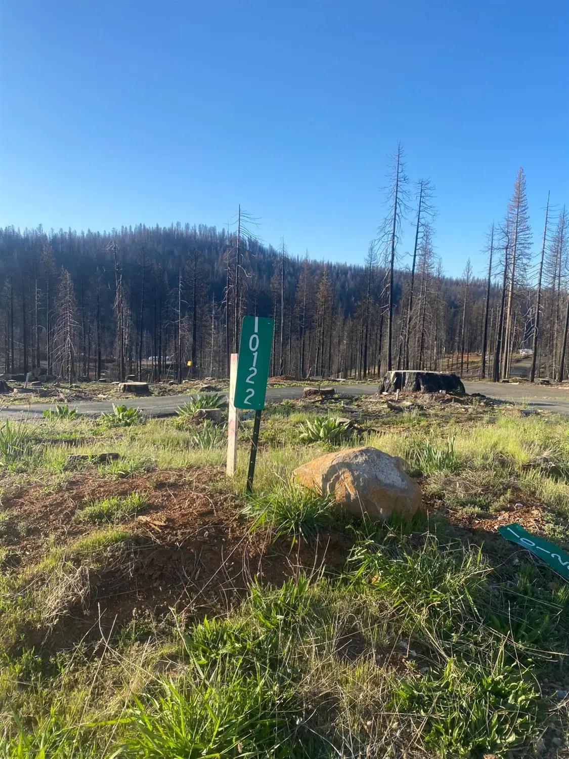 10122 Grizzly Flat Road, Grizzly Flats, CA 95636 - Image #1