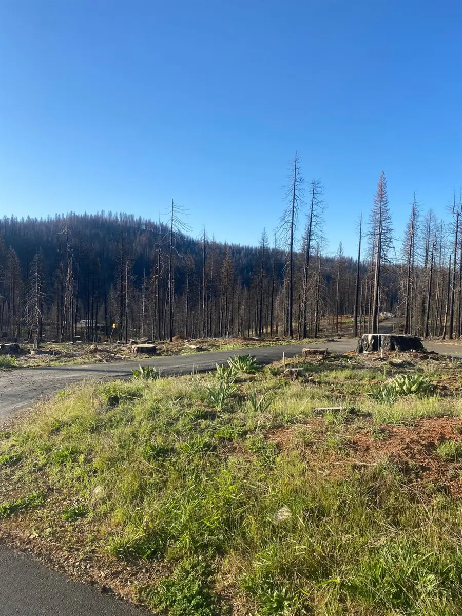 10122 Grizzly Flat Road, Grizzly Flats, CA 95636 - Image #2