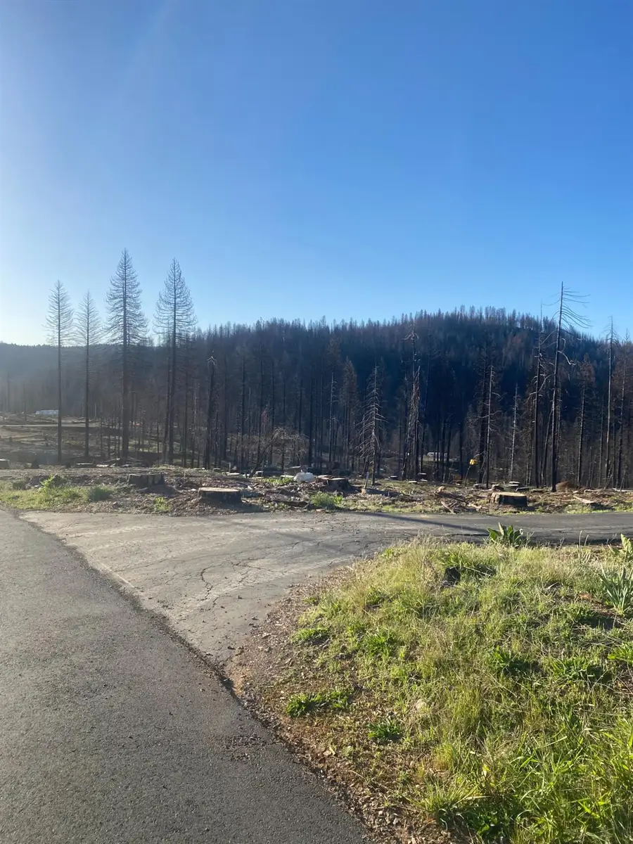 10122 Grizzly Flat Road, Grizzly Flats, CA 95636 - Image #3