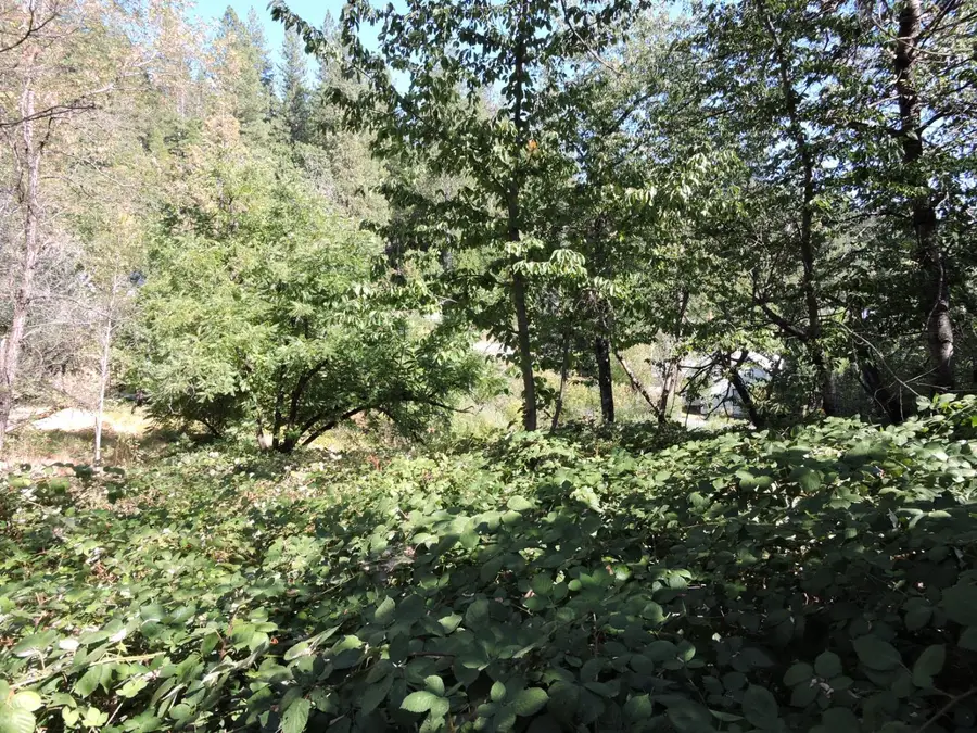 0 Main Street, Dutch Flat, CA 95714 - Image #2