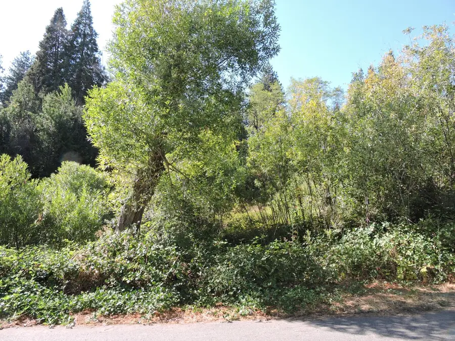 0 Main Street, Dutch Flat, CA 95714 - Image #3