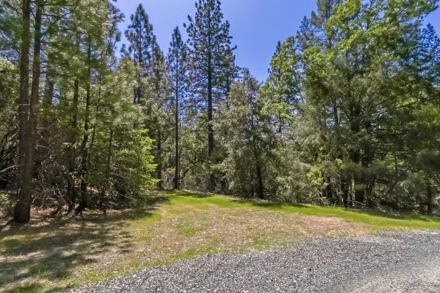 22500 Canyon Way, Colfax, CA 95713 - Image #3