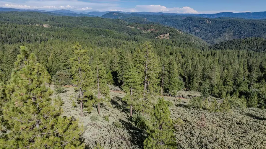 0 Silver Point, Pioneer, CA 95666 - Image #3