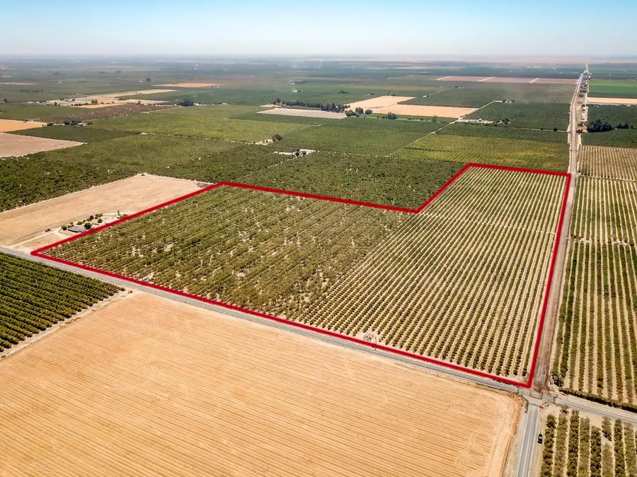 16388 Avenue 18 1/2, Madera, CA 93637 - Image #3