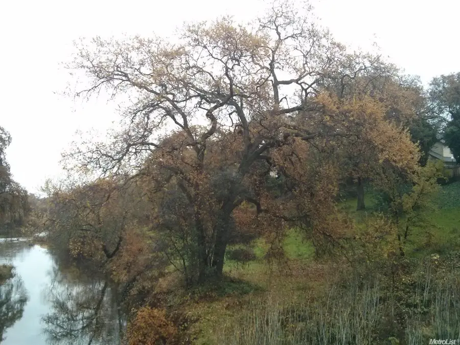 648 Riverside/vernon Street, Roseville, CA 95678 - Image #3