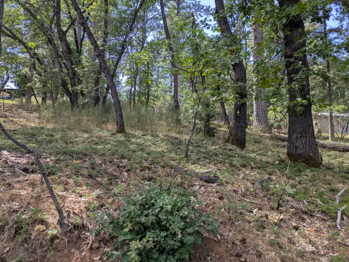 0 Gardella Lane, Camino, CA 95709 - Image #1