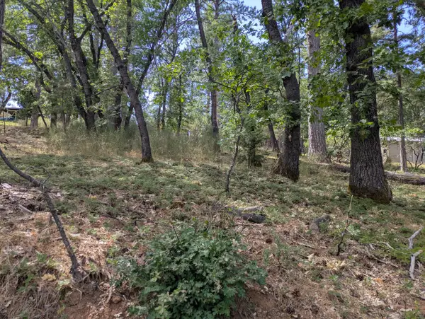 0 Gardella Lane, Camino, CA 95709