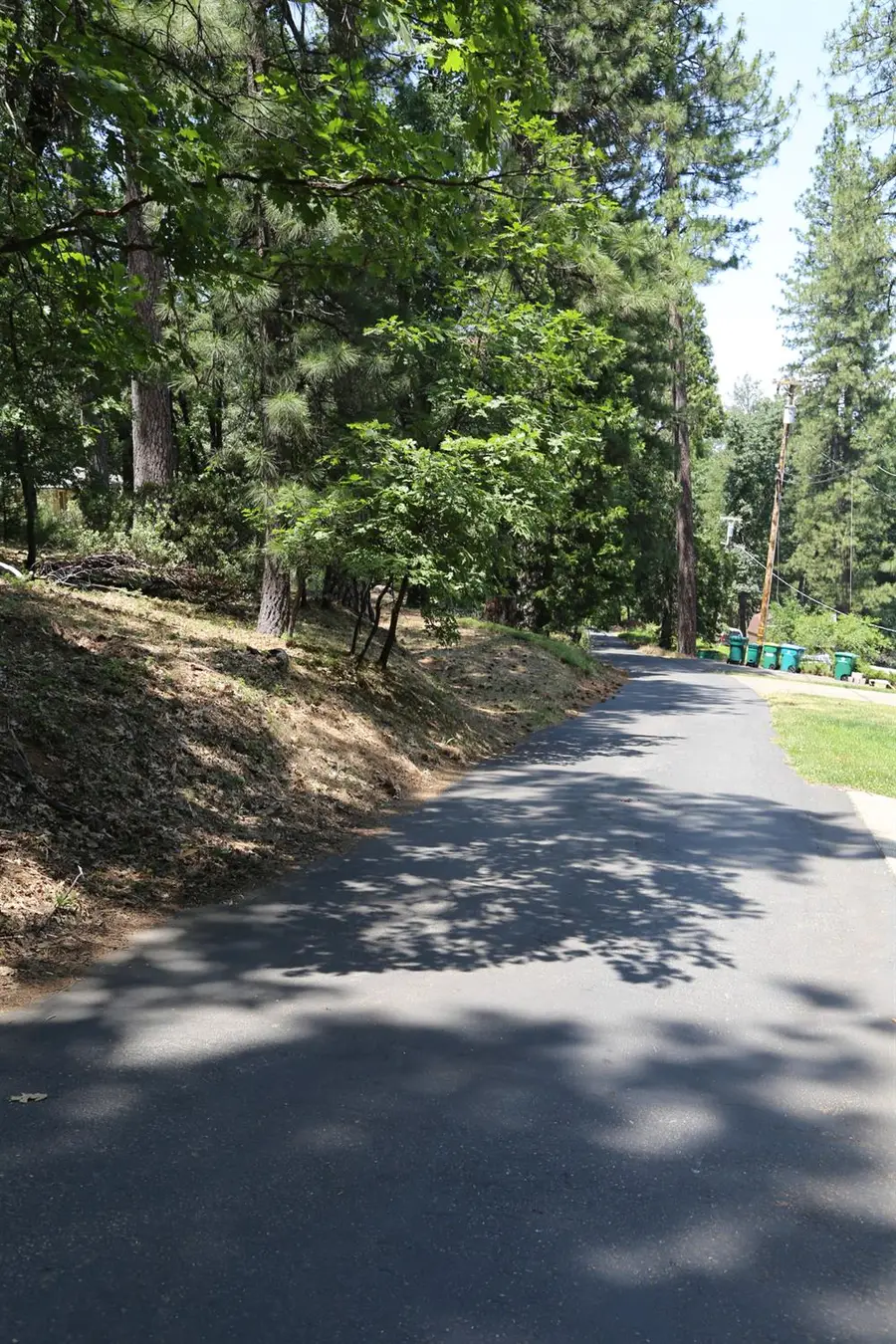 0 Gardella Lane, Camino, CA 95709 - Image #2