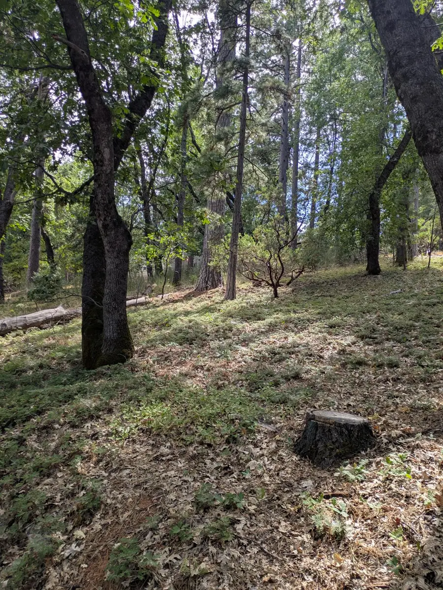 0 Gardella Lane, Camino, CA 95709 - Image #3