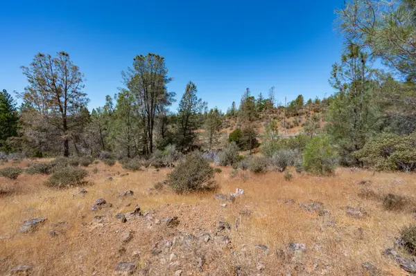 12141 Newtown Road, Nevada City, CA 95959
