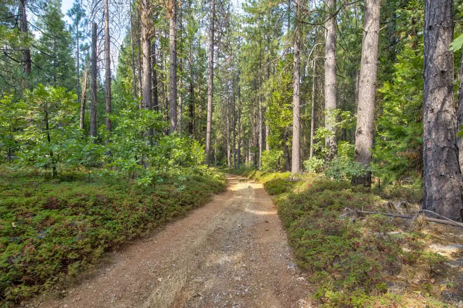 0 Mtn. Dew Lane, Somerset, CA 95684 - Image #3