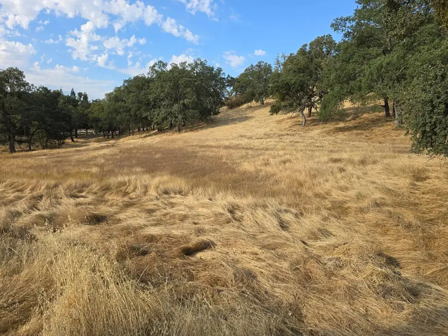 5572 Baldwin Street, Valley Springs, CA 95252 - Image #2