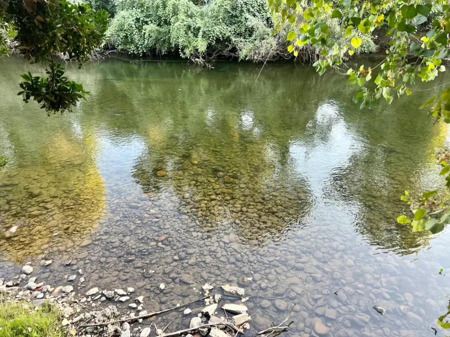 12024 Rodden Rd., Oakdale, CA 95361 - Image #3