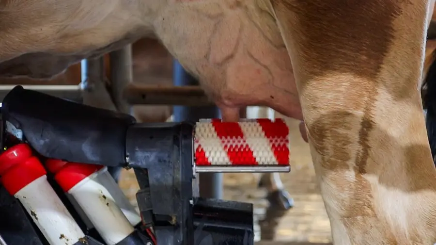 15453 E Monte Vista Avenue, Denair, CA 95316 - Image #3