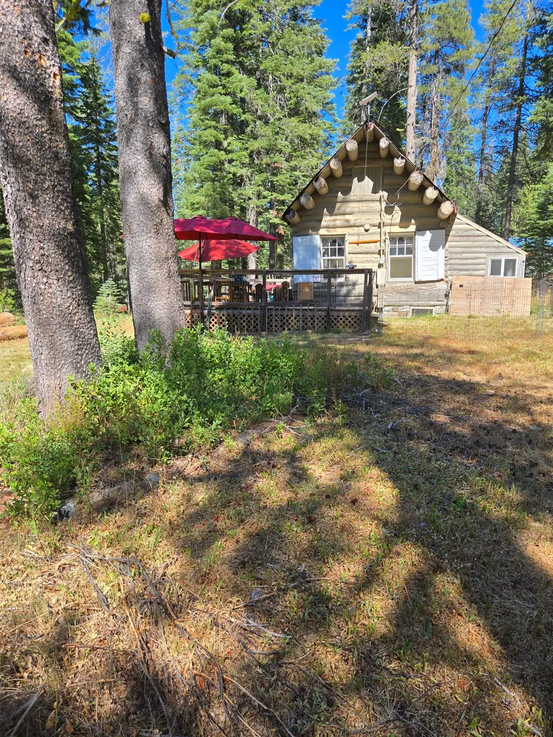 9281 Big Creek Road, Bucks Lake, CA 95971 - Image #1