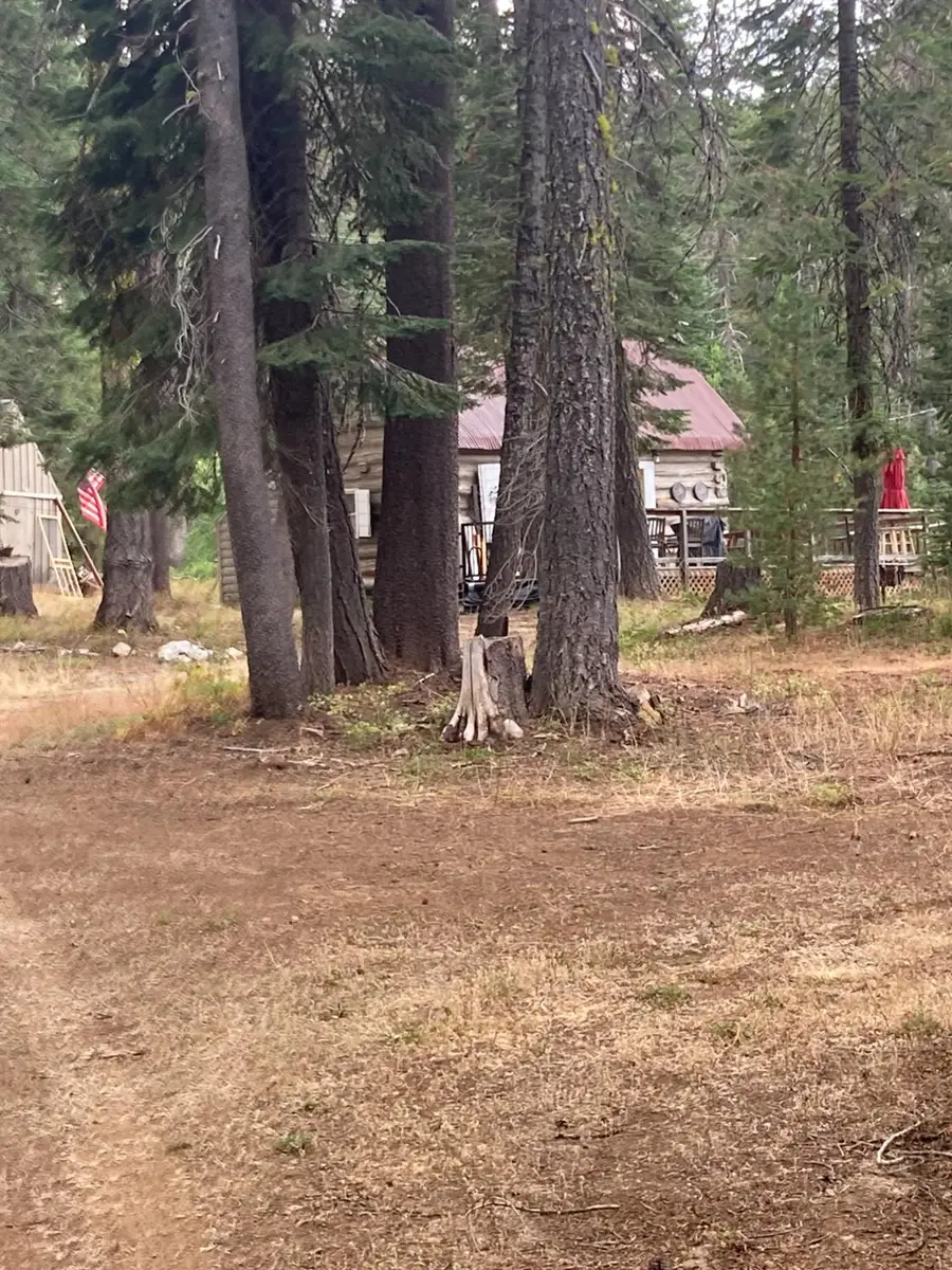 9281 Big Creek Road, Bucks Lake, CA 95971 - Image #2