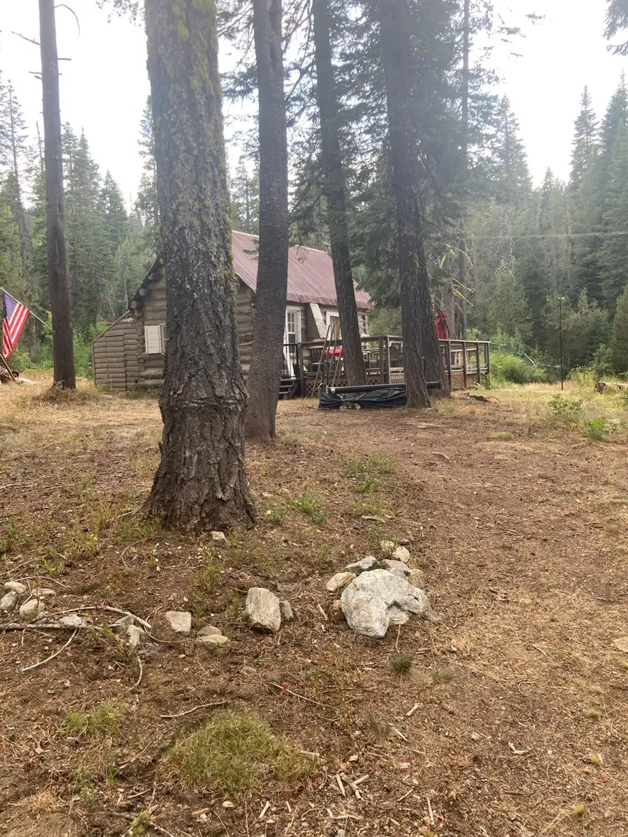 9281 Big Creek Road, Bucks Lake, CA 95971 - Image #3