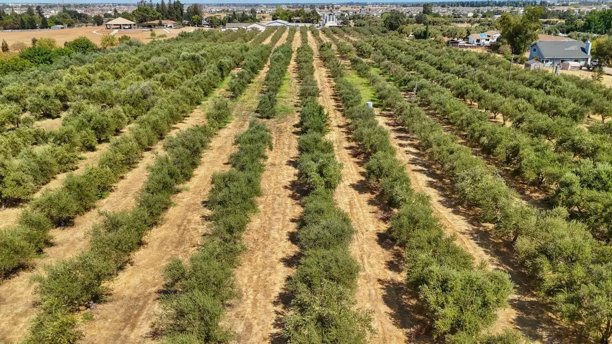 0 Bar Du Lane, Sacramento, CA 95829 - Image #1