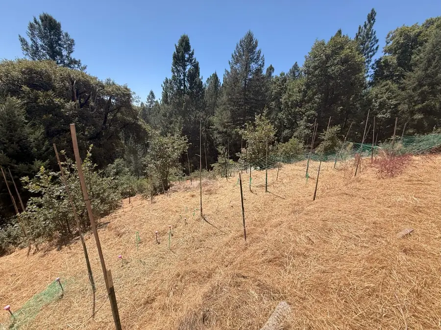 20363 Grizzly Creek Road, Nevada City, CA 95959 - Image #2