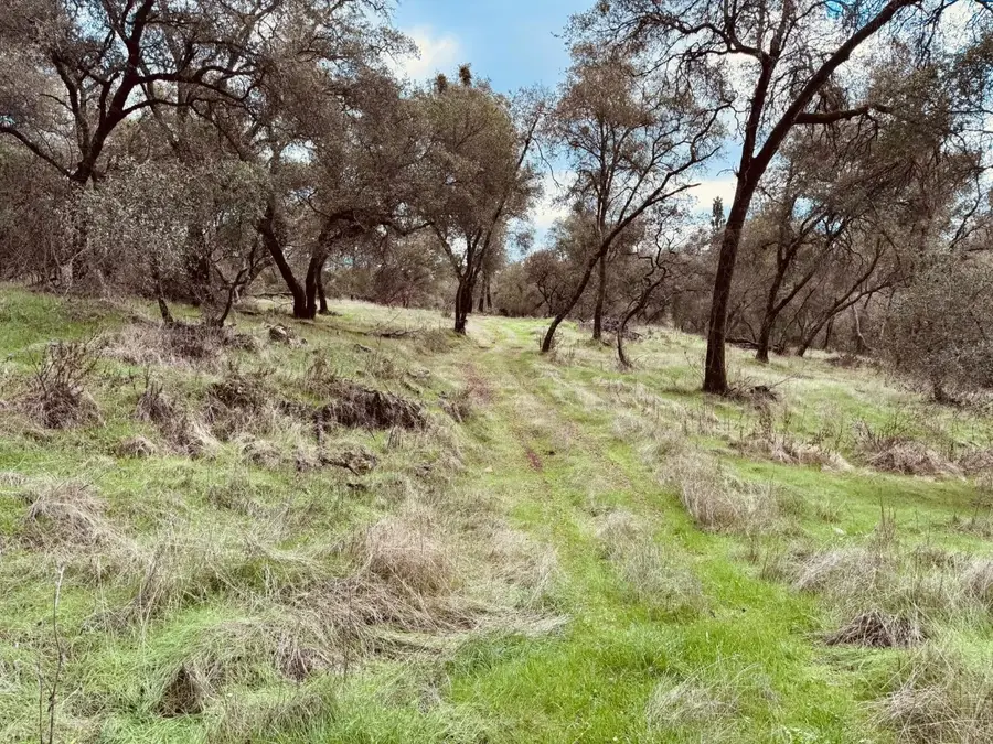 4981 Mourning Dove Lane, Shingle Springs, CA 95682 - Image #3